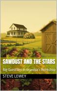 Sawdust and the Stars book cover